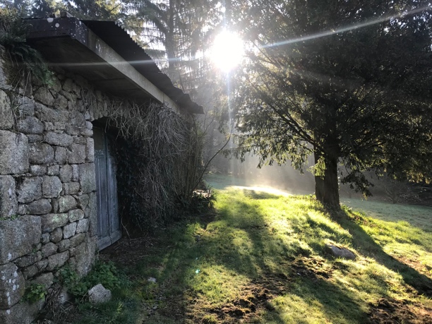 La lumière du soleil traverse les arbres près d’un mur en pierre du domaine