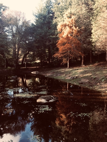 Un des plans d’eau du domaine